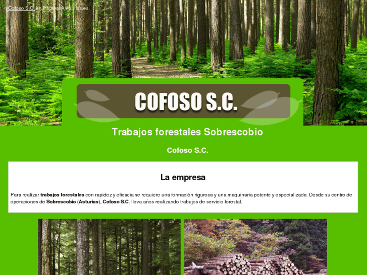 www.cofoso.es