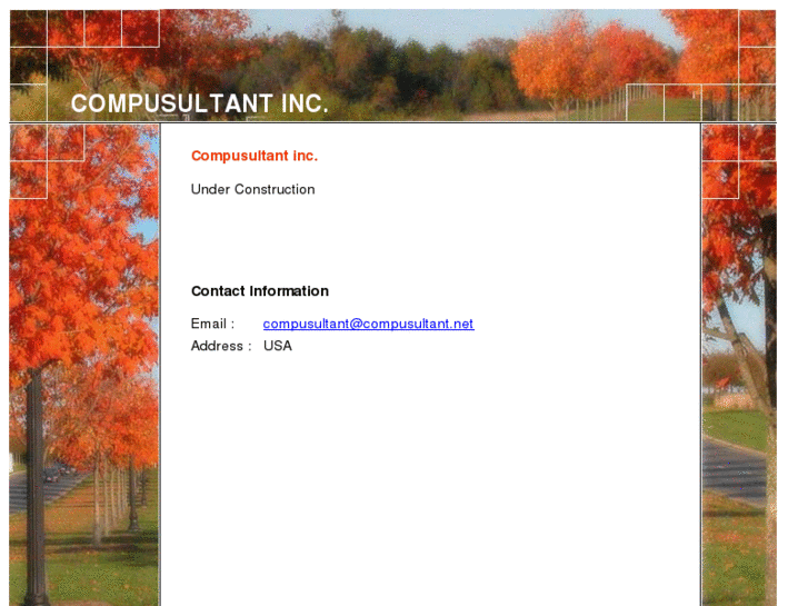 www.compusultant.net