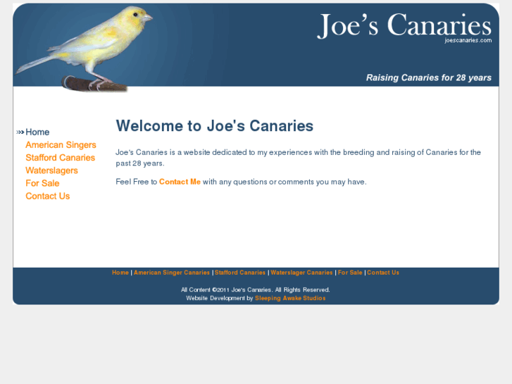 www.joescanaries.com