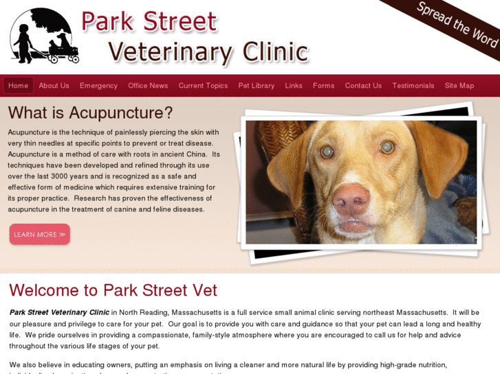 www.parkstreetvet.com