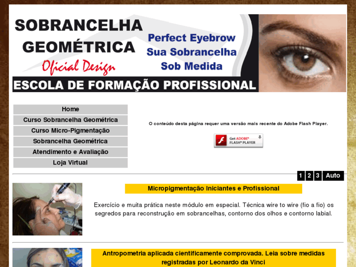 www.sobrancelhageometrica.com