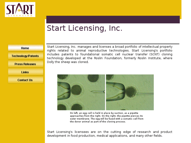 www.startlicensing.com