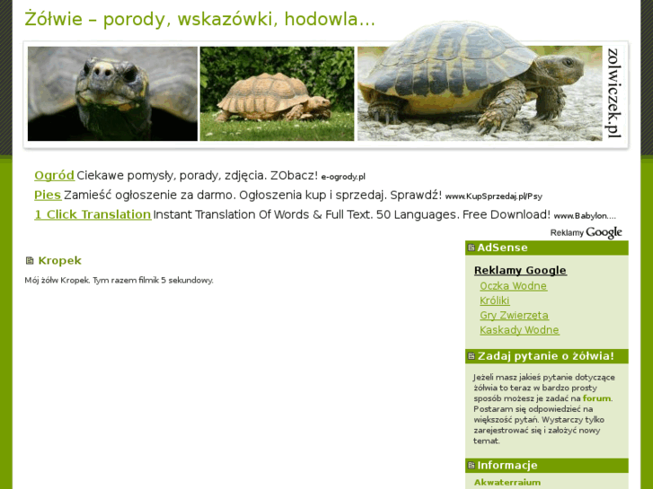 www.zolwiczek.pl