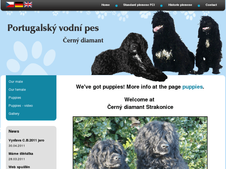 www.cernydiamant.cz