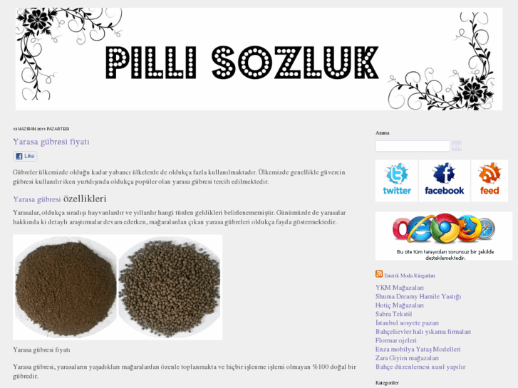 www.pillisozluk.com