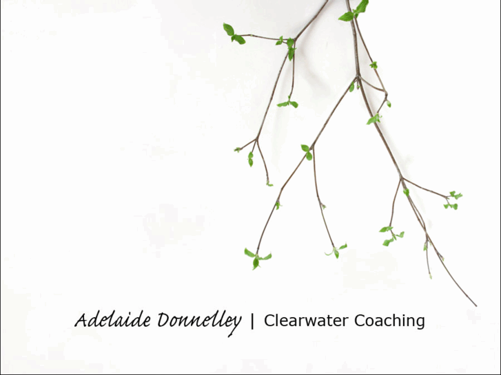 www.adelaidedonnelley.com