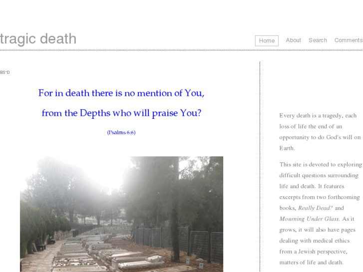 www.avrahamdavid.com