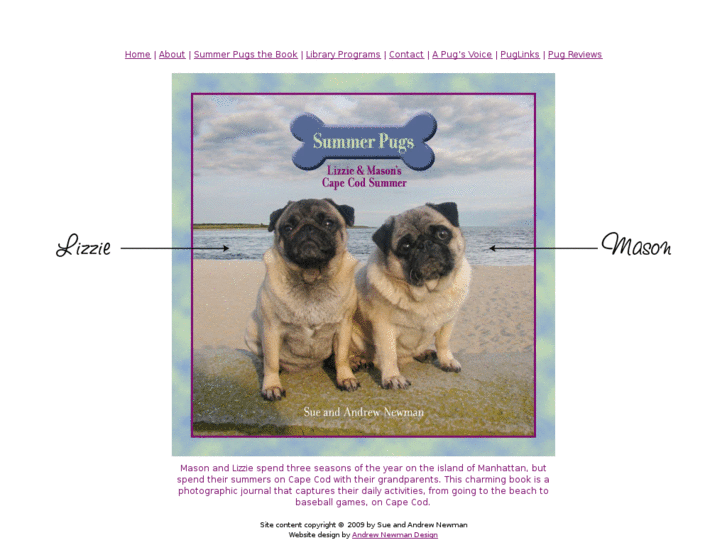 www.beachpug.com