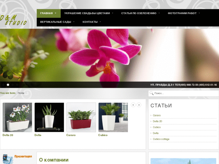 www.dimflora.com