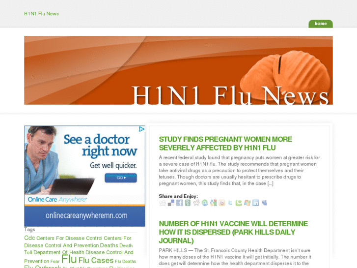 www.h1n1flunews.org