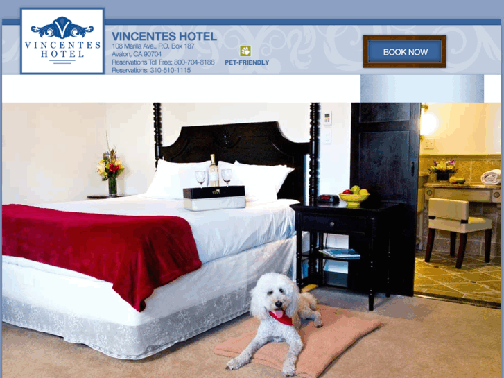 www.hotelvicentes.com