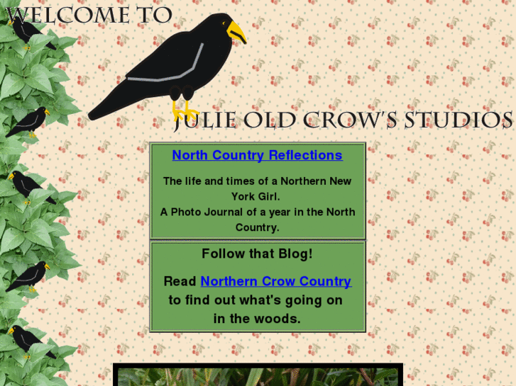 www.julieoldcrow.com