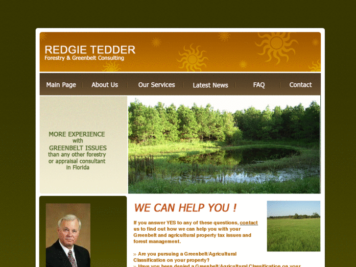 www.teddergreenbeltconsulting.com