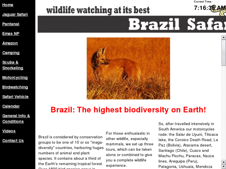 www.brazilsafaris.com