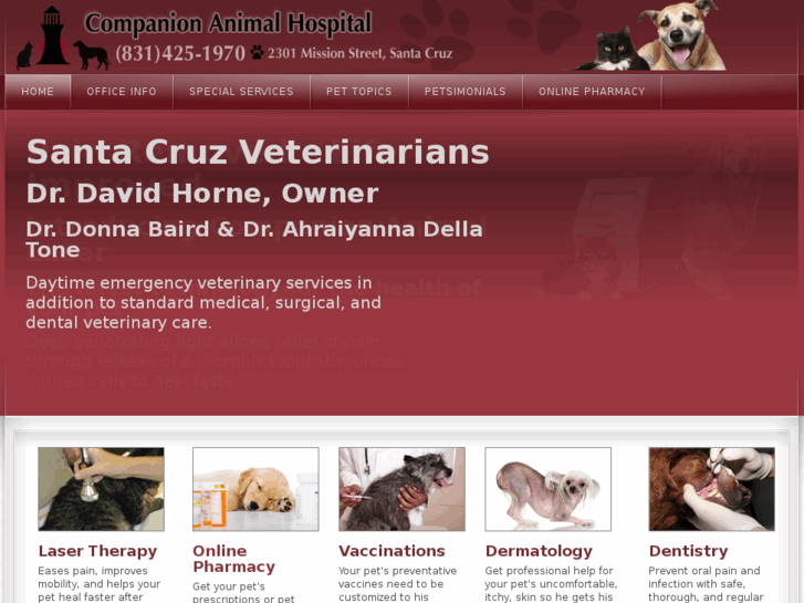 www.companionanimalvet.com