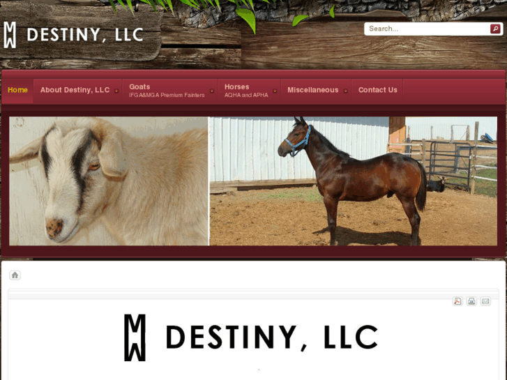 www.destinyllc.net