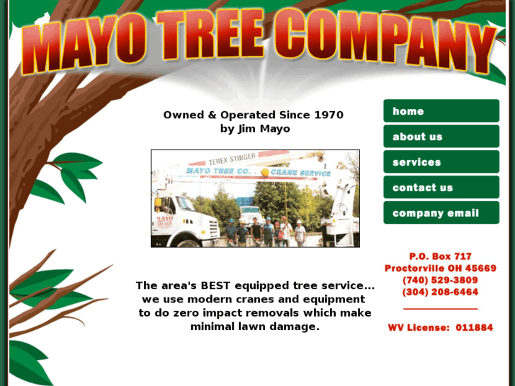 www.mayotreecompany.com
