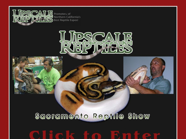 www.sacreptileshow.com