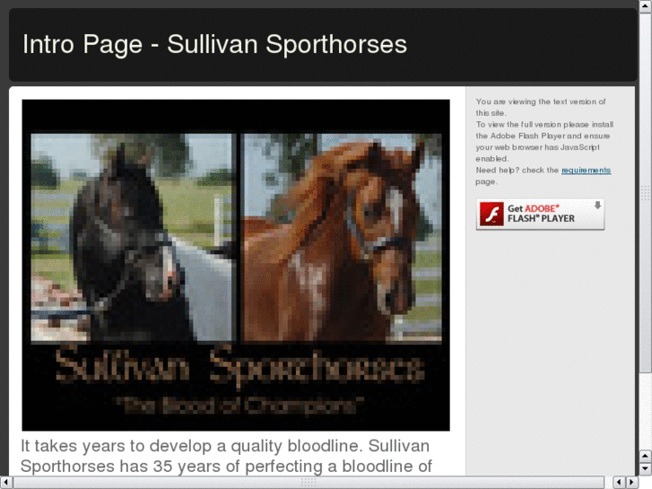 www.sullivansporthorses.com