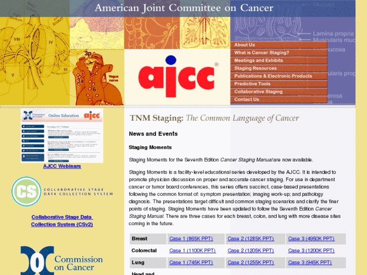 www.cancerstaging.org