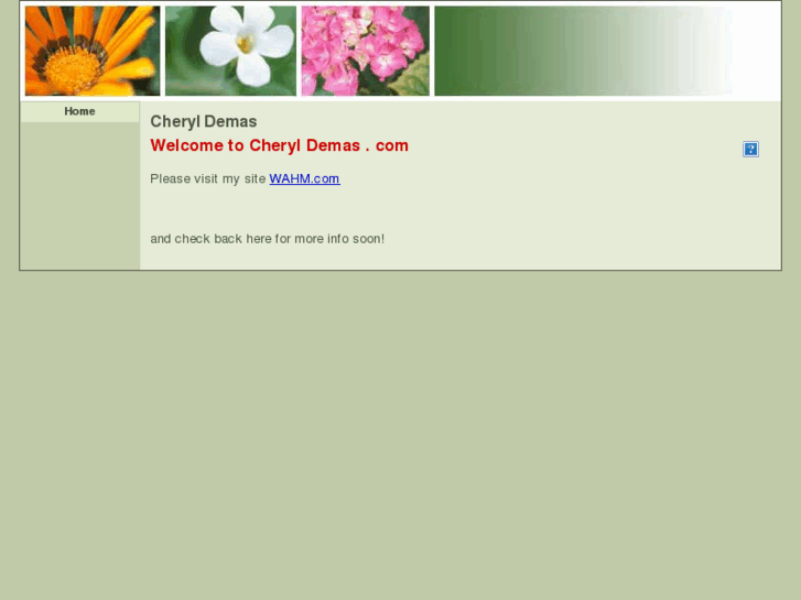 www.cheryldemas.com