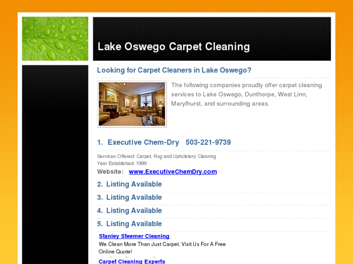 www.lakeoswegocarpetcleaning.com