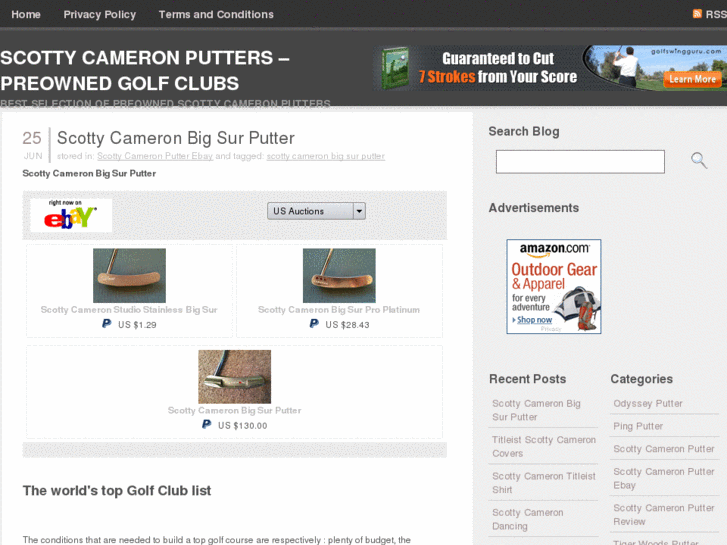 www.buyscottycameronputter.net