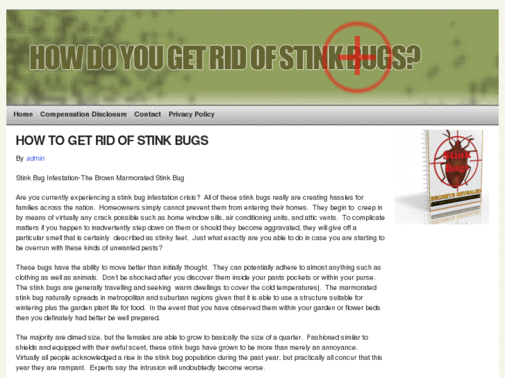 www.howdoyougetridofstinkbugs.com