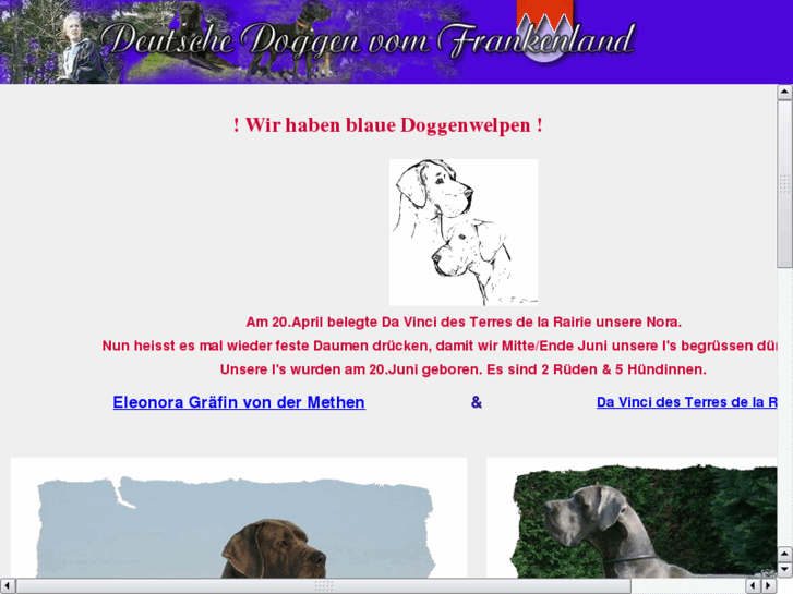 www.ichfindedoggen.net