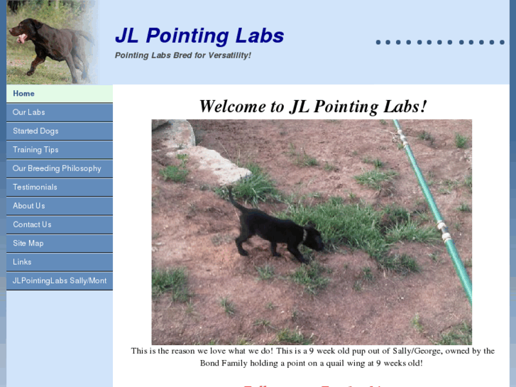 www.jlpointinglabs.com
