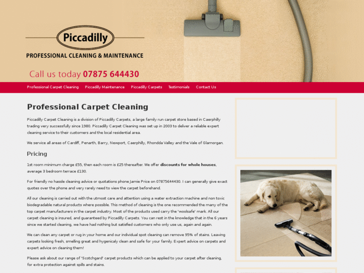 www.piccadillycarpetcleaning.com