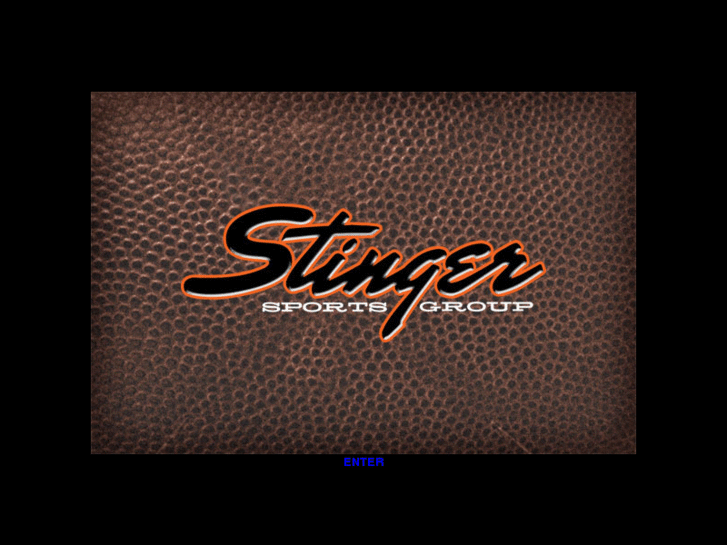 www.stingersportsgroup.com