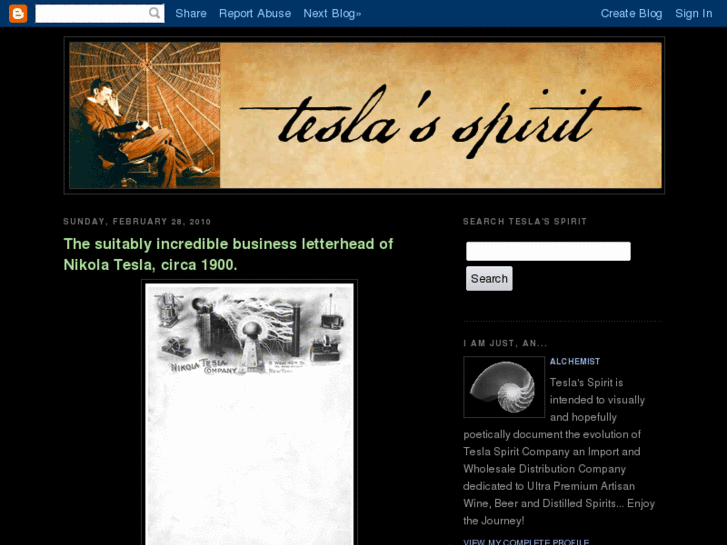 www.teslaspirit.com