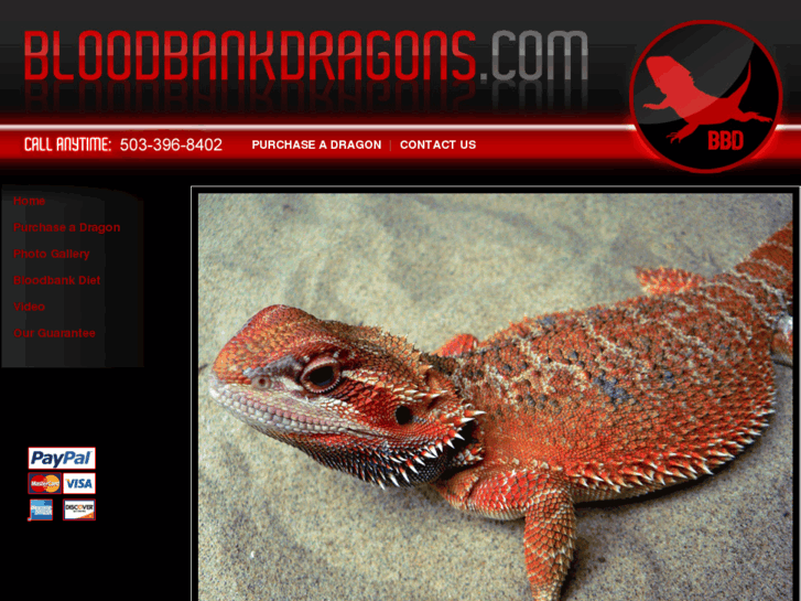 www.bloodbankdragons.com