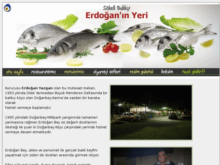 www.erdoganinyeri.com