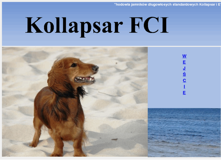 www.kollapsar.com.pl