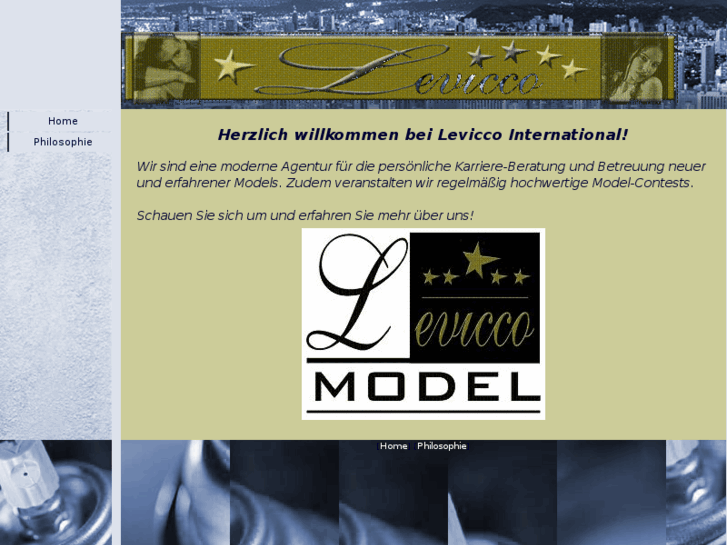 www.levicco.com