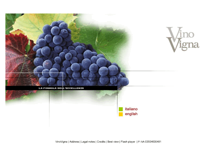 www.vinovigna.com