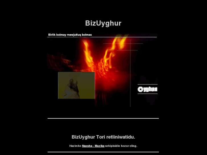 www.bizuyghur.com