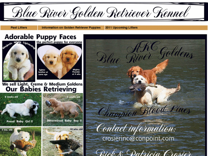 www.bluerivergoldenretrieverkennel.com