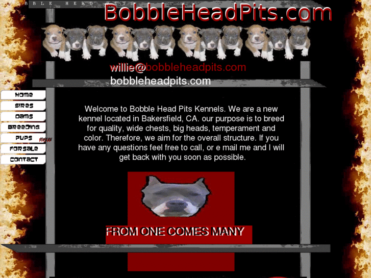 www.bobbleheadpits.com