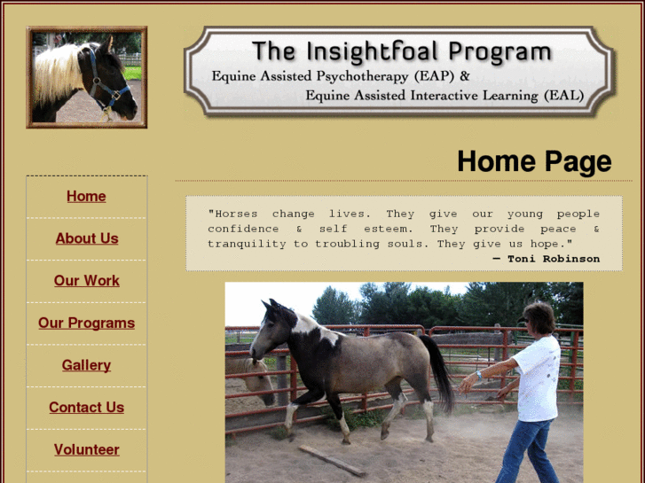 www.insightfoalprogram.org