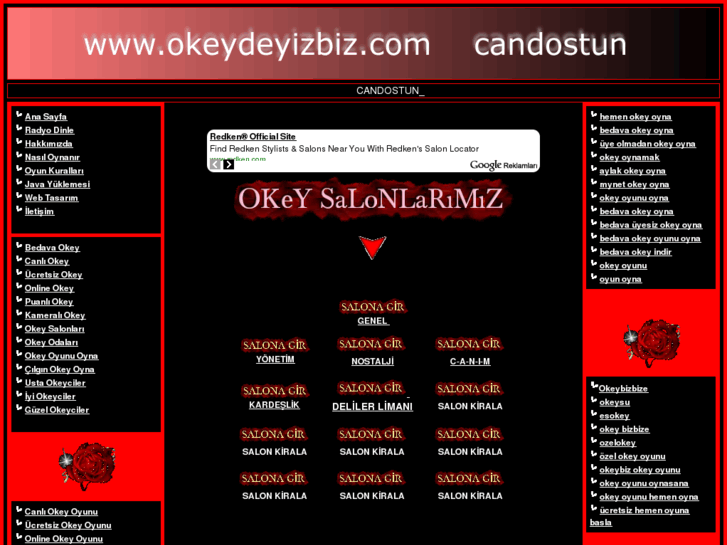 www.okeydeyizbiz.com