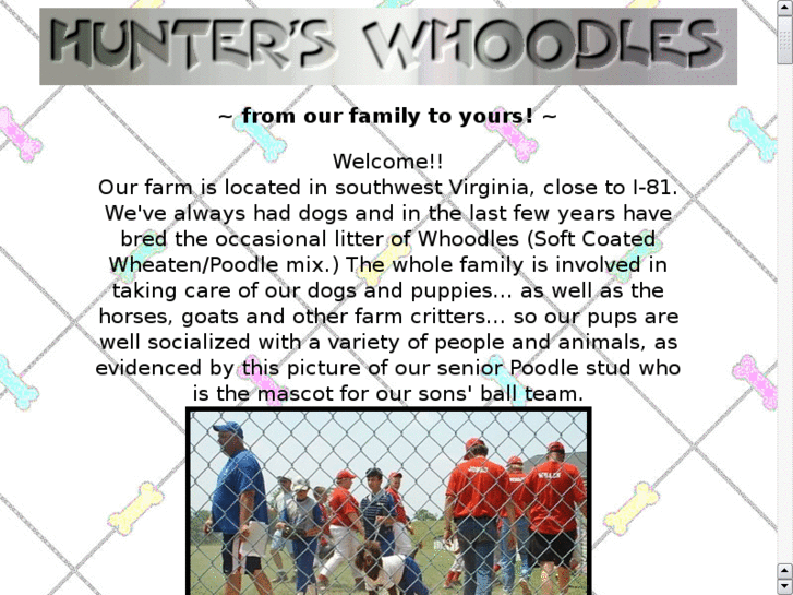 www.whoodledogs.com