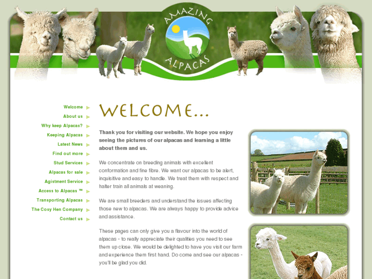 www.amazingalpacas.co.uk