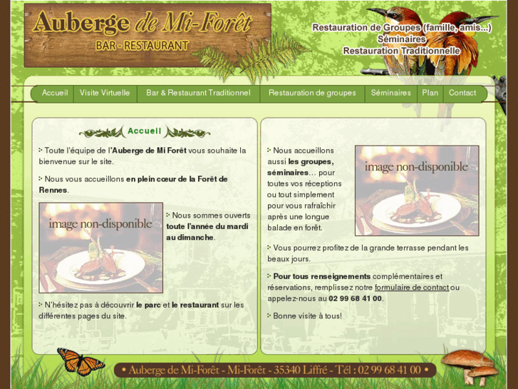 www.aubergedemi-foret.com