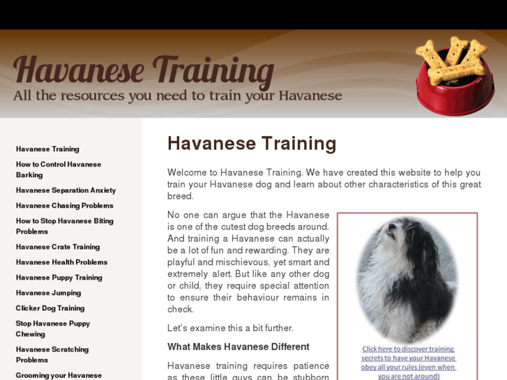 www.havanesetraining.com