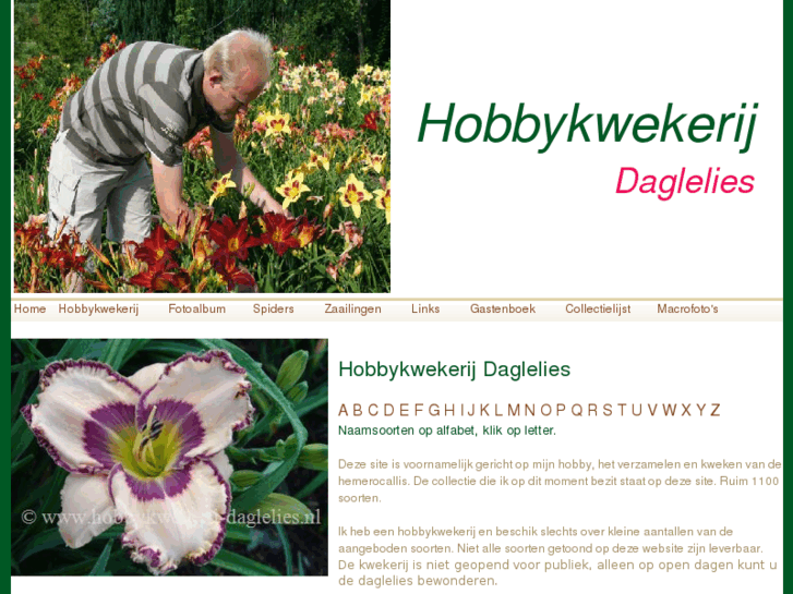 www.hobbykwekerij-daglelies.nl