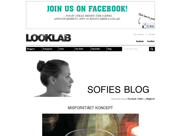 www.sofiesblog.dk