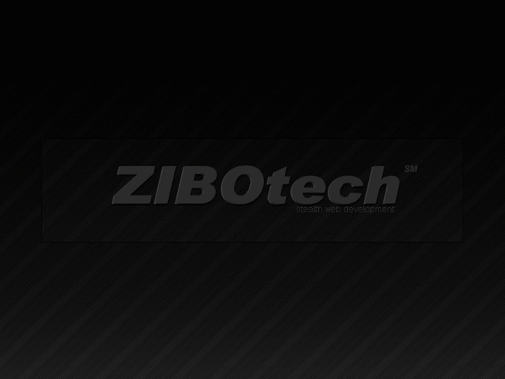 www.zibotech.com